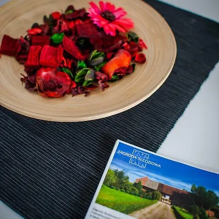 Appartement Ahoj Ustka